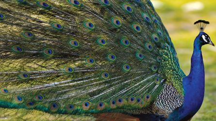 Science Square (Issue 166)